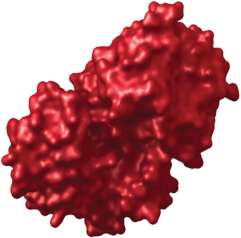 EF-tu-GTP structure.